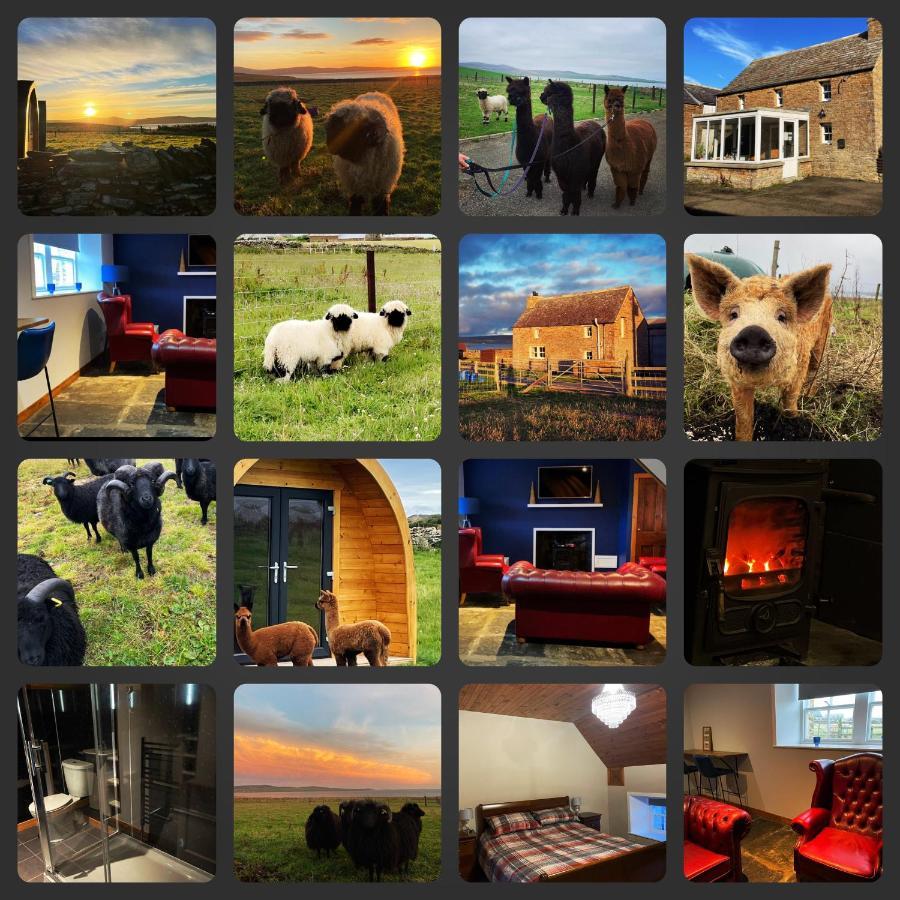 Orkney Farm Bothy Villa Stromness Dış mekan fotoğraf